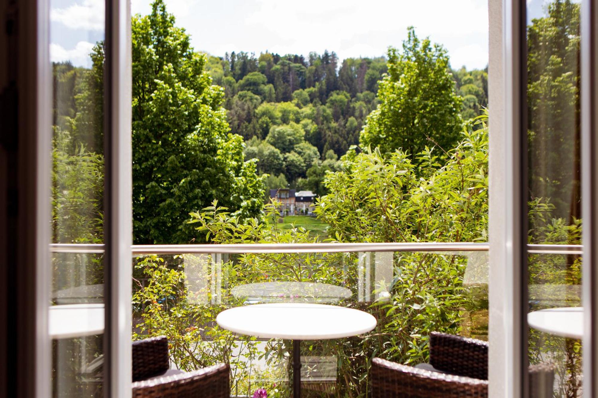 Villa Elbufer Bad Schandau Exterior foto